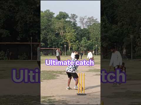 jabardast catch 🫴#cricket #cricketlover