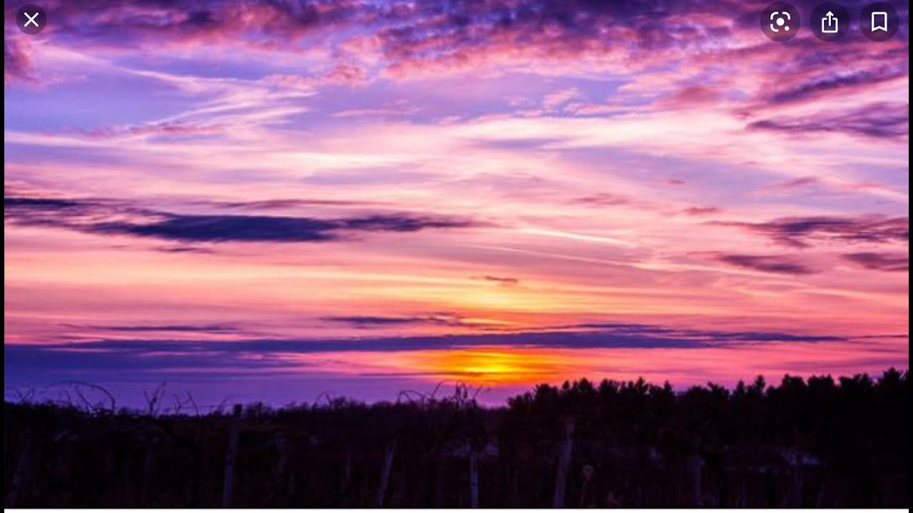 %100 HONEST SLIME REVEIW OF ELMERS STORE BOUGHT SLIME