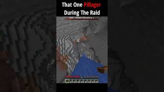 One Pillager. Infinite Problems.