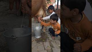Choti Choti Gaiya Choti Choti Gawal Gggf Ghf Hg