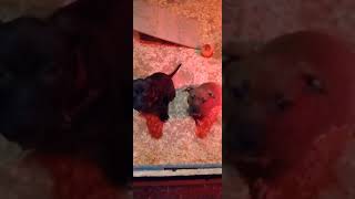 Hit Hardest ,Hit First And Hit Last