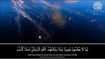 ما تيسر من سورة النحل - القارئ محمد كمال هاشم