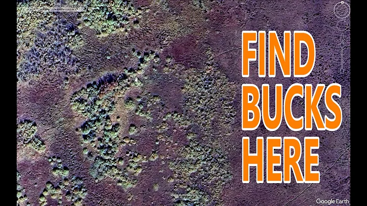 E Scouting Strategies For Deer [5 Key Steps]