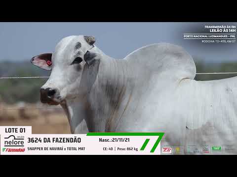 LOTE 01