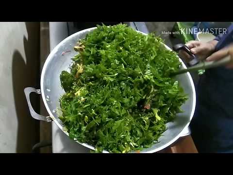 resep-tumis-sayur-paku-bunga-pepaya