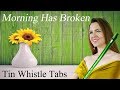 Easy Tin Whistle Songs - MORNING HAS BROKEN - Tin Whistle Notes/Tabs