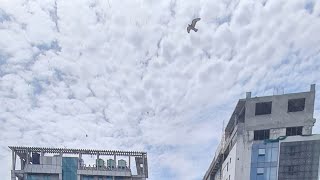 Fast Moving and Singing Clouds / Moving Clouds In Time Lapse/ Fast Moving Clouds On A Rainy Day