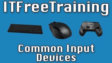Common Input Devices