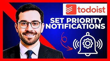 How To Set Priority Notifications On TODOIST (Complete 2025 Guide)