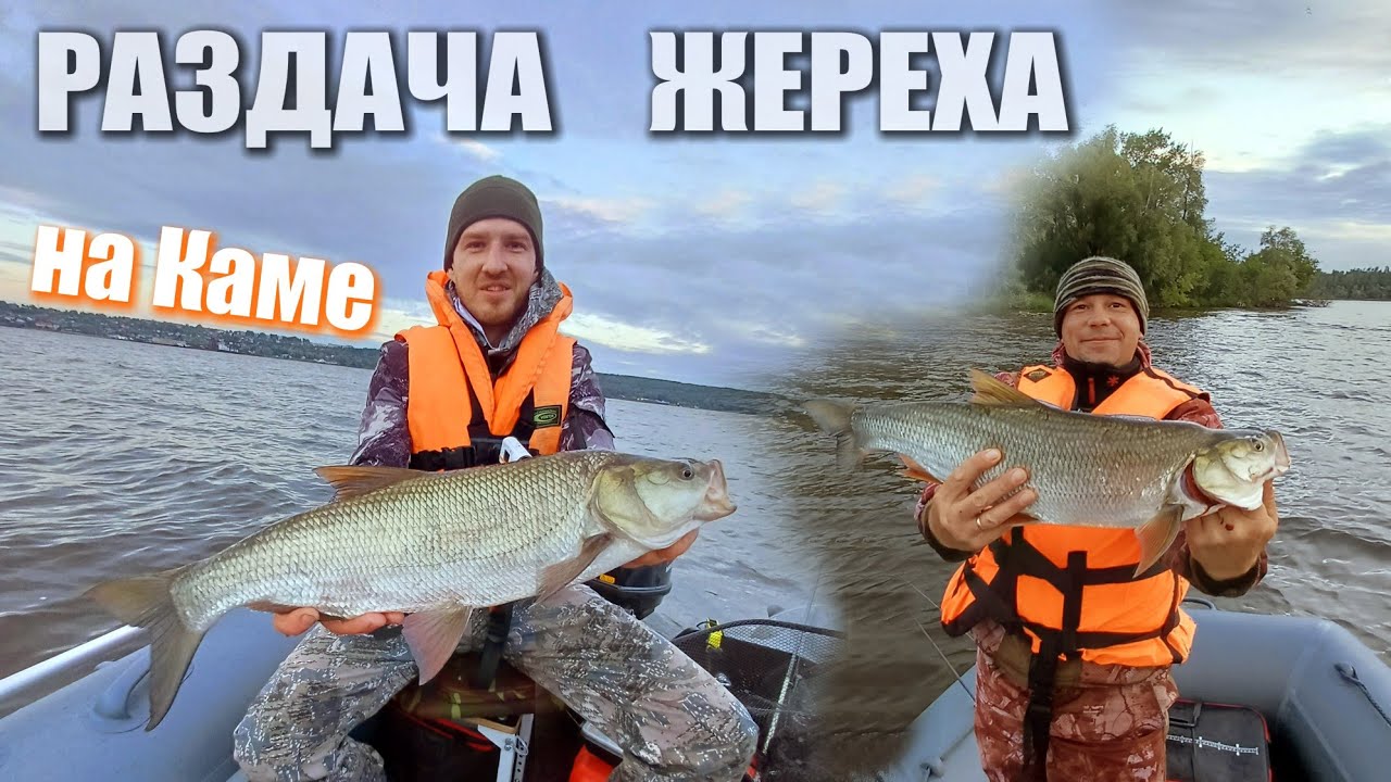 Раздача ЖЕРЕХА на Каме! Рыбалка на спиннинг