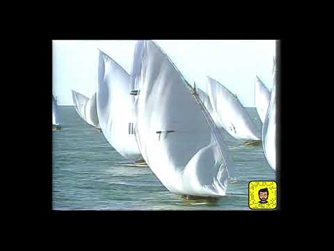 رباب سبع الامارات وطنية