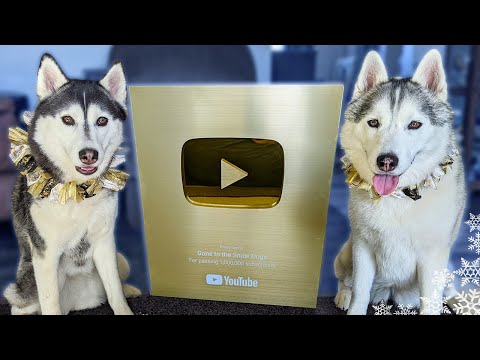 My Husky Unboxing A YouTube GOLD Play Button! AND Giving Away STUFF!