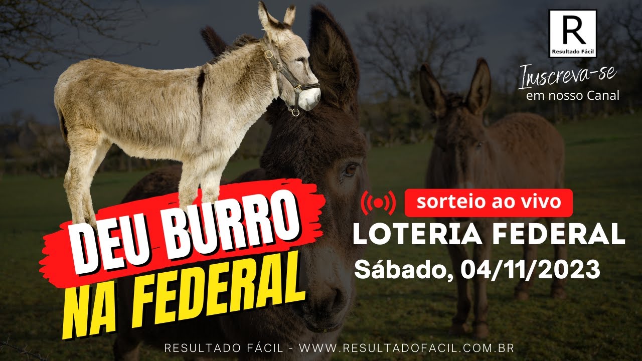 Blog Luciano noticias - Loteria POPULAR - Recife - PE, 18:30 - Resultado do  dia 26/08/2020 (Quarta-feira) 1º 9036 09 Cobra 2º 9451 13 Galo 3º 8223 06  Cabra 4º 6771 18 Porco 5º 2564 16 Leão