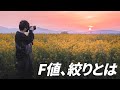 【保存版】F値(絞り)をマスターすると写真のレベルが一気に上がります！！！