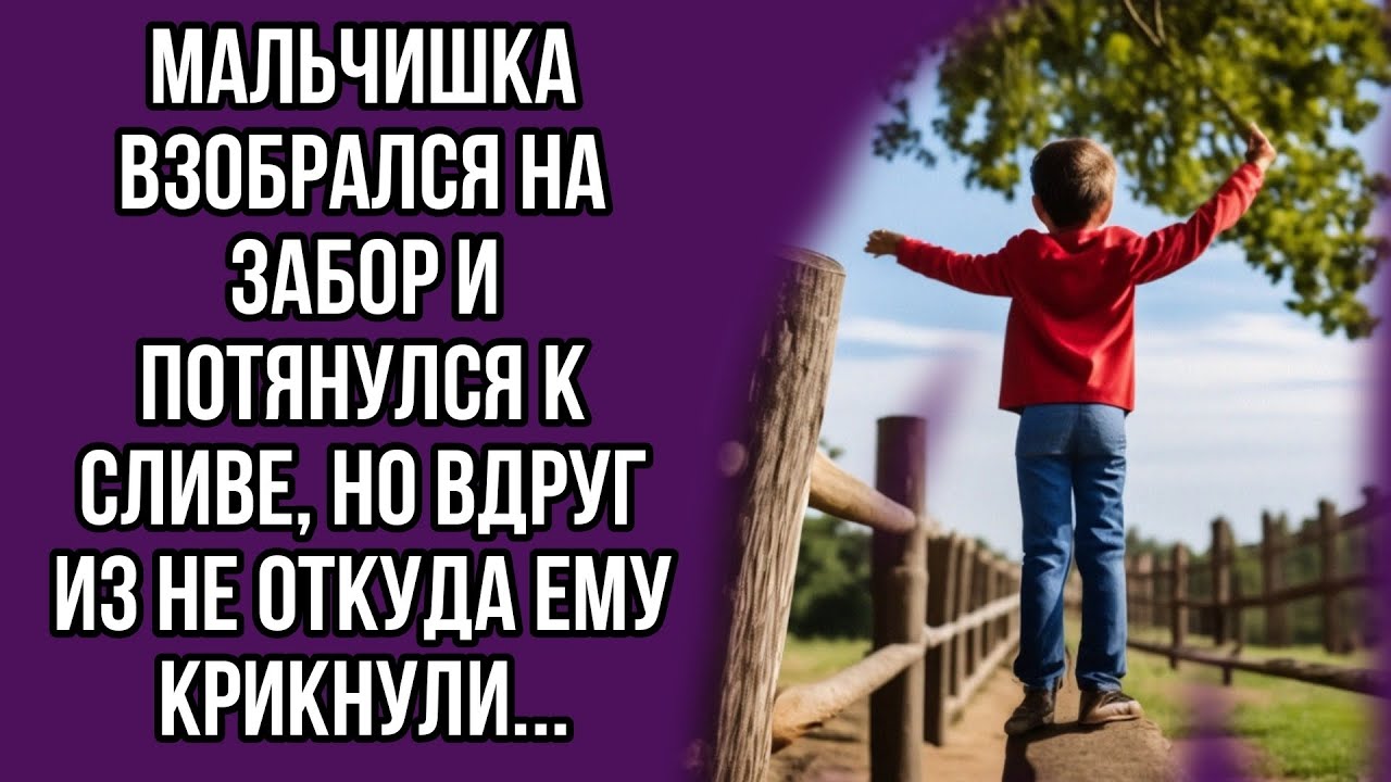 Мальчишка взобрался на забор и потянулся к сливе, но вдруг из не откуда ...
