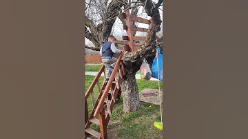 Tree house slide Pufta Cufta Uky#nature #wildlife  #kids #fun #slide #treehouse #happy #cuftauky