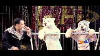 Circo Hermanos Gasca Hoy Es Un Dia Especial 2011