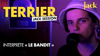 Terrier - Le bandit l LIVE