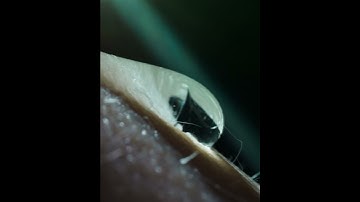 INTENSITY. DRIVEN. | Aston Martin