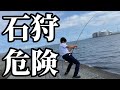 【北海道】【釣り】石狩湾新港で超危険な生物を釣りまくる