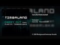 Timbaland - Carry Out (Instrumental)