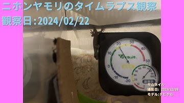 【For Work】 RPi-Cam-Web-Interfaceを使ったテスト（Timelapse） 2024年02月22日