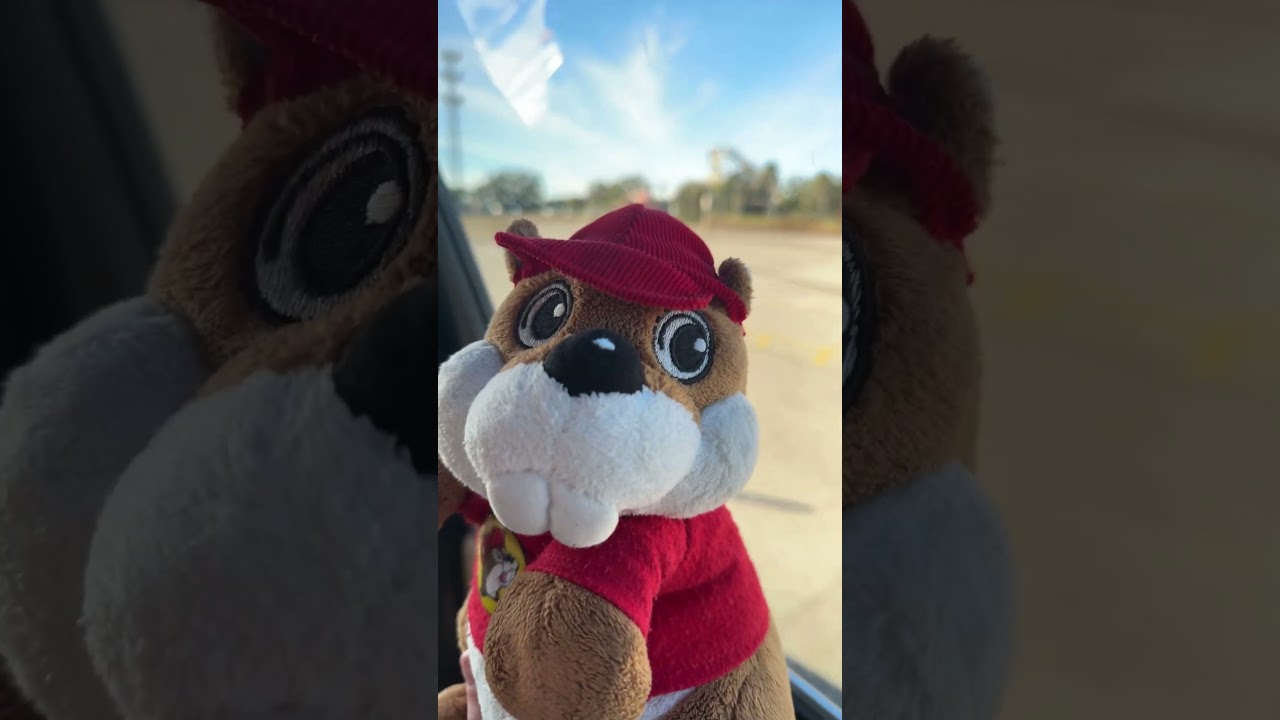 Buc the Beaver’s 7 Days Late Birthday (2 Year Old) + At Busch Gardens