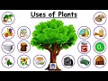 Uses of plants for kids  use of plants  plants and their uses  plant give us  uses of trees
