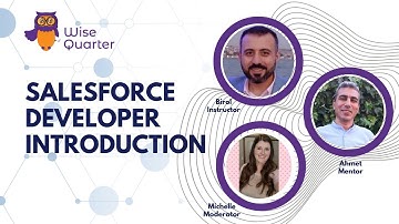 Salesforce Developer Introduction | Wise Quarter