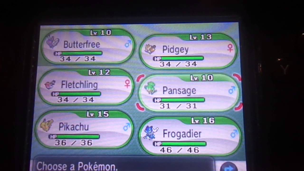 Pokemon XI get my Kanto starter YouTube