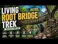 Living Root Bridge Trek Meghalaya