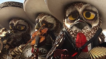 Rango but its only the Mariachi