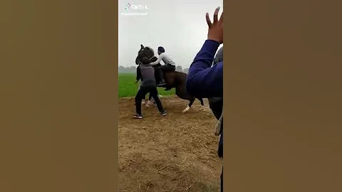 Horse riding video