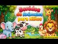 🐾 Animales para Niños 🐶🦁  | Video Educativo | Aprende los Nombres y Sonidos de los Animales 🐸🎵