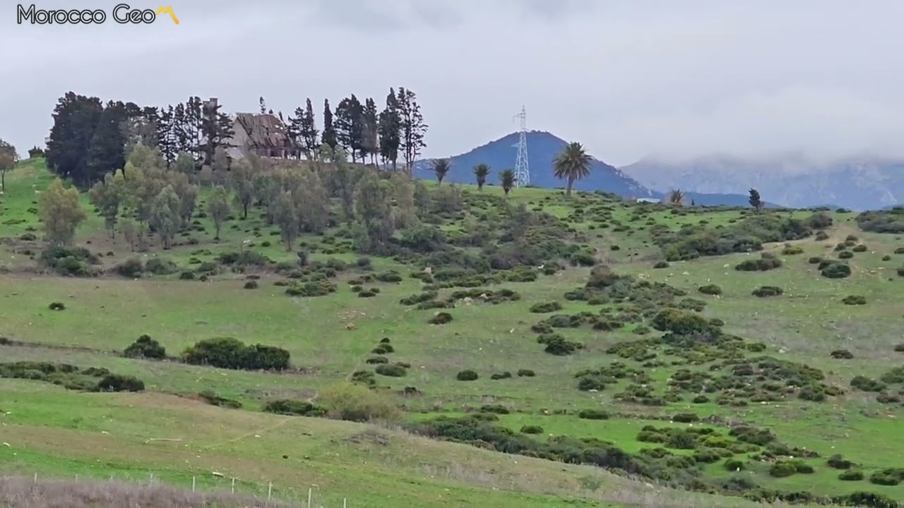 هل يمكن للمغرب تحقيق الاكتفاء الزراعي هذا الموسم؟ مساحة  الأراضي الصالحة للزراعة والمزروعة بالمغرب