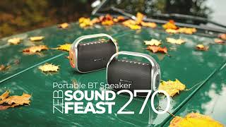 Zebronics Sound Feast 270 (60W) Wireless Bluetooth Speaker