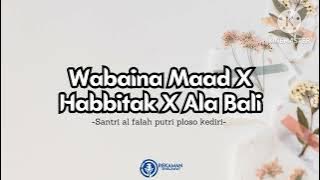 Lirik sholawat Wabaina Maad x Habbitak x Ana Bali | Gambus santri putri al falah ploso kediri