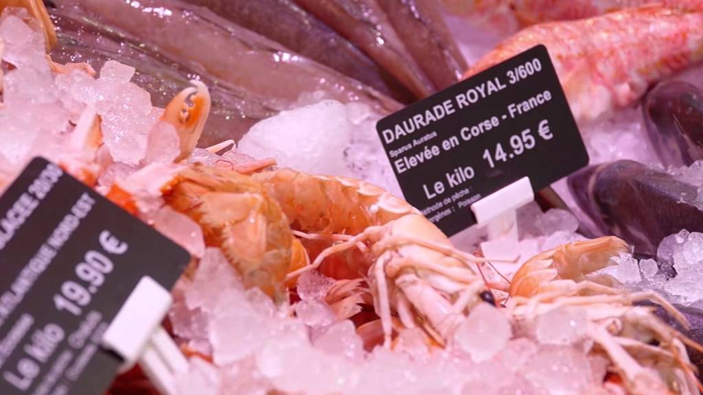 Evolis Price Tag Solution