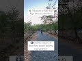 Nature ground fresh air sunlight sound less distraction #naturebeauty #naturesounds