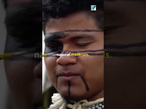 Colors Of Tradition_The Dani Tribe's