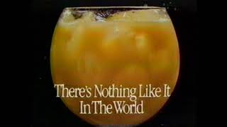 1988 Florida Orange Juice Theres Nothing Like It In The World Tv Commercial