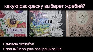 Speedcoloring - Жребий, процесс раскрашивания, листаю скетчбук