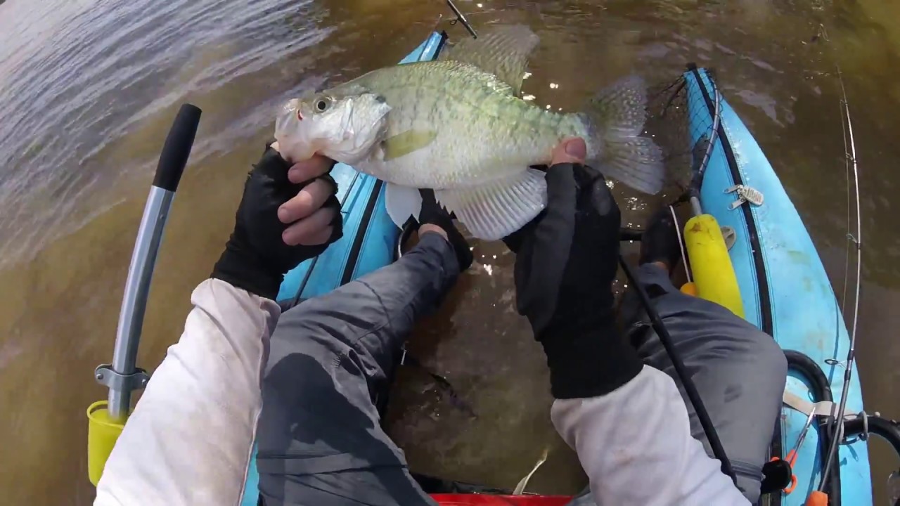 Crappie Fishing over a Brush Pile YouTube