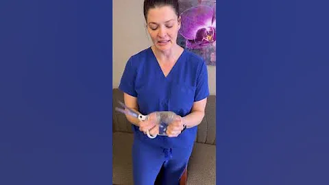 Minutes with Dr Moenster: Gummy Bear Implant #shorts #plasticsurgeontucson