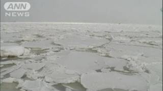 北海道・網走に流氷接岸　昨年に比べ10日早く（11/01/29）