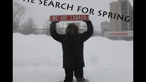 The Search For Spring
