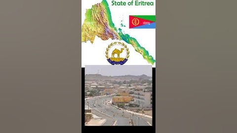Eritrean music 2023 #eritrea #eritreanmusic #ethiopia #tigray #shorts