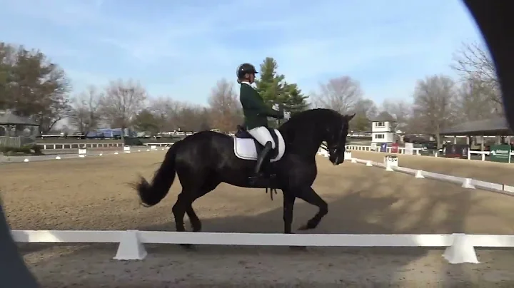 US Dressage Finals 2nd level MFS O Stacey Hastings...