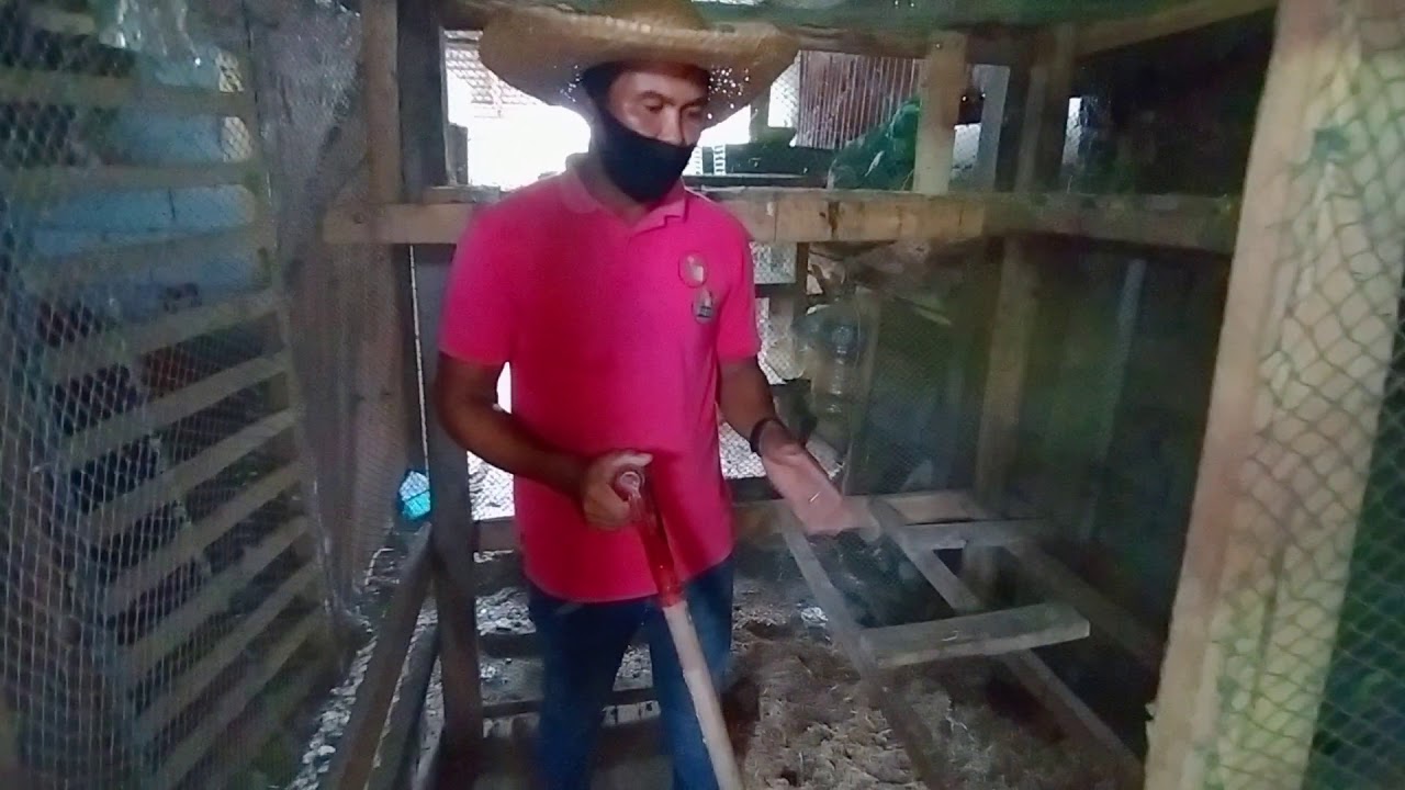 Raise Organic Chicken Bedding Preparation and Installation 