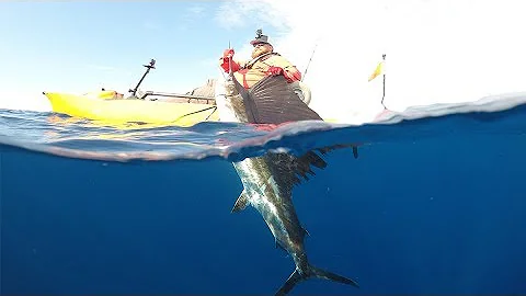 Crazy Jumping SAILFISH